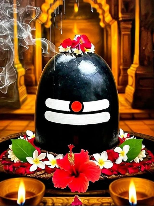 शिवलिंगावर जास्वंदाचे फूल का अर्पण करू नये? शिवलिंगावर जास्वंदाचे फूल का अर्पण करू नये?