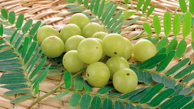 महिनाभर आवळा खाल्ल्यावर शरीरात दिसतील हे बदल...