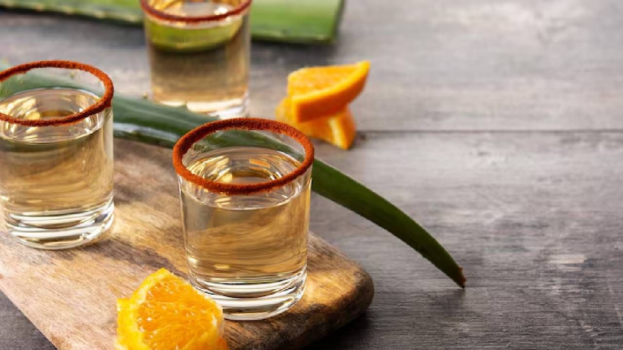 आम्ही दारू विषयी बोलत आहोत तिचे नाव टकीला आहे. दारू प्रेमींसाठी टकीला हे नाव परिचित आहे, पण त्याबद्दल फारशी माहिती अनेकांना नसते. आपल्या तीक्ष्ण चवीसाठी आणि अनोख्या इतिहासासाठी प्रसिद्ध असलेली ही दारू उत्तर अमेरिकेतील मेक्सिको देशाच्या संस्कृतीचा महत्त्वाचा भाग आहे. जगभरातील कोट्यवधी लोकांना टकीला पिण्याची आवड आहे आणि ते त्याचे चाहते आहेत. विशेष म्हणजे, 1918 च्या स्पॅनिश फ्लू महामारीदरम्यान डॉक्टरांनी लोकांना टकीला पिण्याचा सल्ला दिला होता. त्यांचा विश्वास होता की, टकीलाला मीठ आणि लिंबूसोबत घेतल्यास फ्लूची लक्षणे कमी होऊ शकतात.