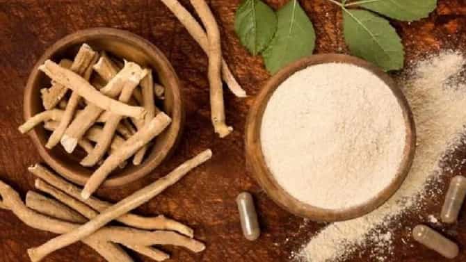 अश्वगंधा खाण्याचे फायदे आणि तोटे तुम्हाला माहिती आहे का?