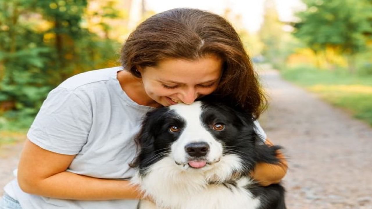 कुत्रा पाळण्याचा विचार करताय? पाहा, कोणत्या जाती तुमच्यासाठी सुरक्षित