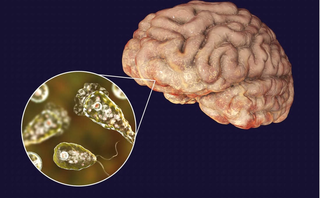 धक्कादायक, मेंदू खाणाऱ्या अमिबामुळे चिमुरडीचा मृत्यू, इतका का धोकादायक असतो हा अमिबा ?
