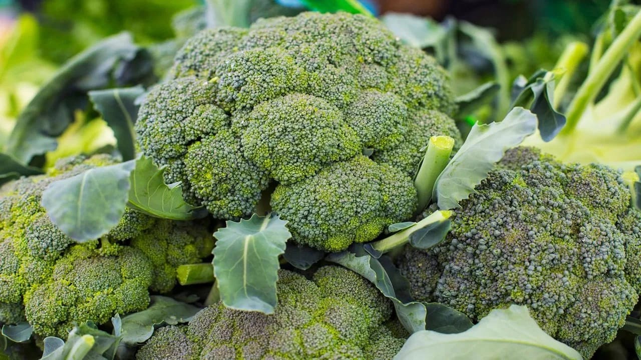 गॅस्ट्रोइंटेस्टिनल (पचनासंबंधी) त्रास असलेल्या महिला: ब्रोकोलीमध्ये फायबर जास्त असतो, त्यामुळे जास्त खाल्ल्यास गॅस, फुगवटा व अपचन होऊ शकते.