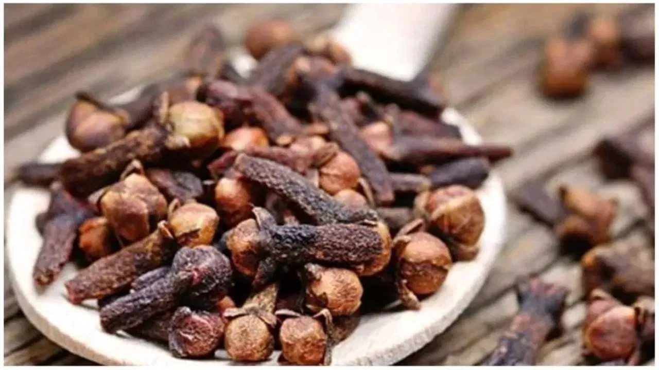 डॉक्टर सांगतात की, लवंग पोटाच्या समस्यांमध्ये खूप उपयुक्त आहे. यामुळे गॅस, अपचन आणि अॅसिडिटीपासून आराम मिळतो. जेवणानंतर एक-दोन लवंग चावल्याने अन्न सहज पचते.