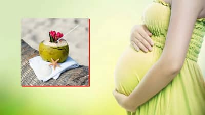 गर्भवती महिलांसाठी नारळपाणी म्हणजे अमृत... फायदे जाणून घ्या