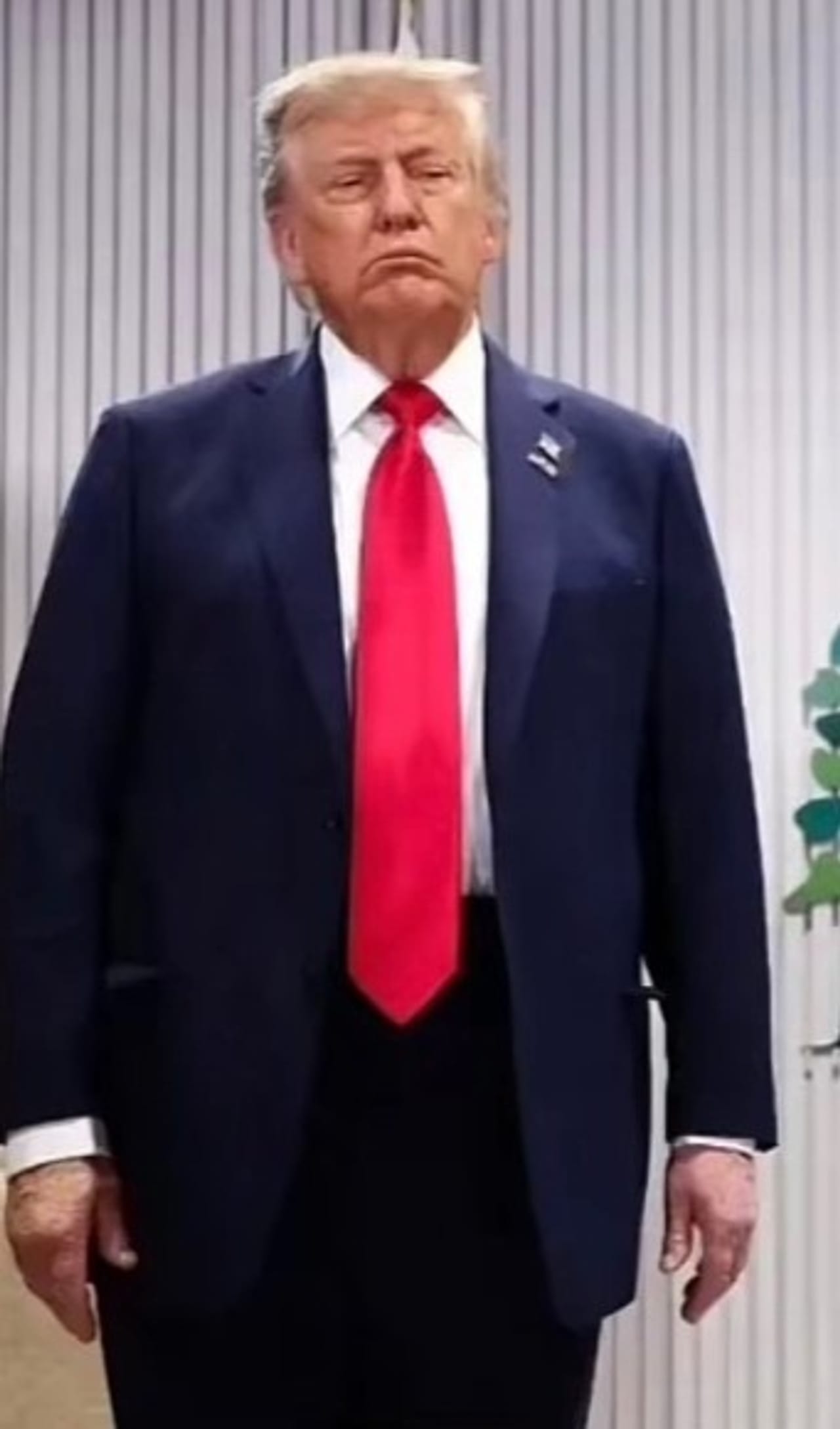 अमेरिकेचे राष्ट्राध्यक्ष डोनाल्ड ट्रम्प लवकरच 80 वर्षांचे होणार आहेत. त्यांनी सध्या घेतलेल्या टॅरिफच्या निर्णयामुळे भारतासह अनेक देश अडचणीत आले आहेत. डोनाल्ड ट्रम्प यांचा अमेरिकेत मोठा चाहतावर्ग आहे. त्यांची प्रकृती बिघडल्याचे समजताच त्यांच्या चाहत्यांनची चिंता वाढते. 