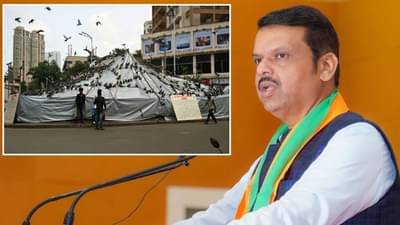 मुंबईतील कबुतरखान्यांसाठी आता नवीन अटी, देवेंद्र फडणवीसांचा मोठा निर्णय