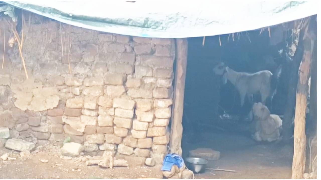 इंदूबाई या विधवा वृध्द महिलेच्या झोपडील चार महिन्यापूर्वी महावितरण विभागाकडून विजेचे मिटर बसविण्यात आले.मात्र दोन महिन्यांपासून त्यांना तब्बल ८० हजारांपेक्षा जास्त विज बिल मिळत आहे.