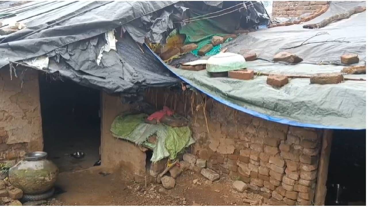 या संदर्भात इंदूबाई यांच्या मुलाने महावितरण विभागाला तक्रार करुन देखील याकडे लक्ष दिले जात नसल्याने इंदूबाई या वृध्द महिला विवंचनेत आहेत.