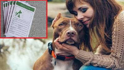 या जातीचे कुत्रे पाळण्यासाठी लायसन्स लागत नाही! जाणून घ्या महत्त्वाची माहिती