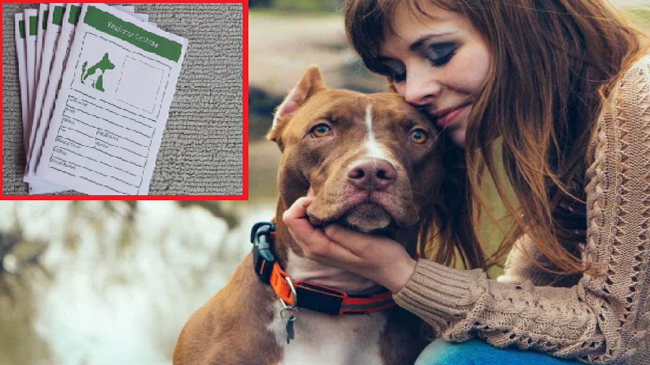 'या' जातीचे कुत्रे पाळण्यासाठी लायसन्स लागत नाही! जाणून घ्या महत्त्वाची माहिती