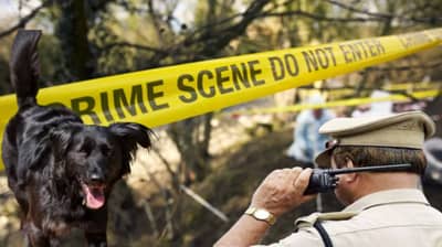 भयानक! कुत्र्याच्या तोंडात दिसला मानवी हात, संपूर्ण शहरात सापडले शरीराचे 5 तुकडे..  पोलिसही हादरले