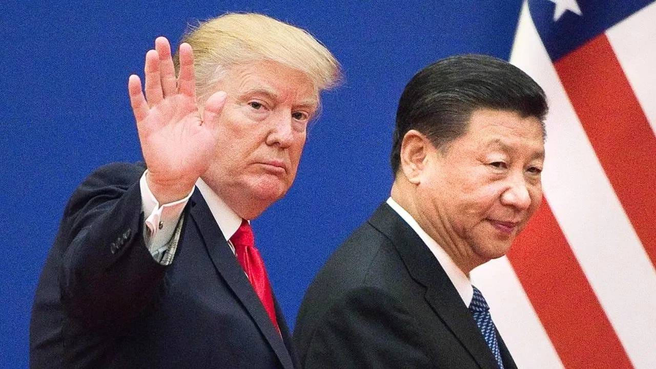 ट्रम्पमुळे सोयाबीन शेतकऱ्यांना फटका, चीनने असे टाकले फासे की ब्राझीलची झाली चांदी