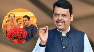 ... म्हणून ठाकरे बंधुंना एकही जागा मिळाली नाही, मुख्यमंत्री फडणवीसांनी सांगितलं कारण