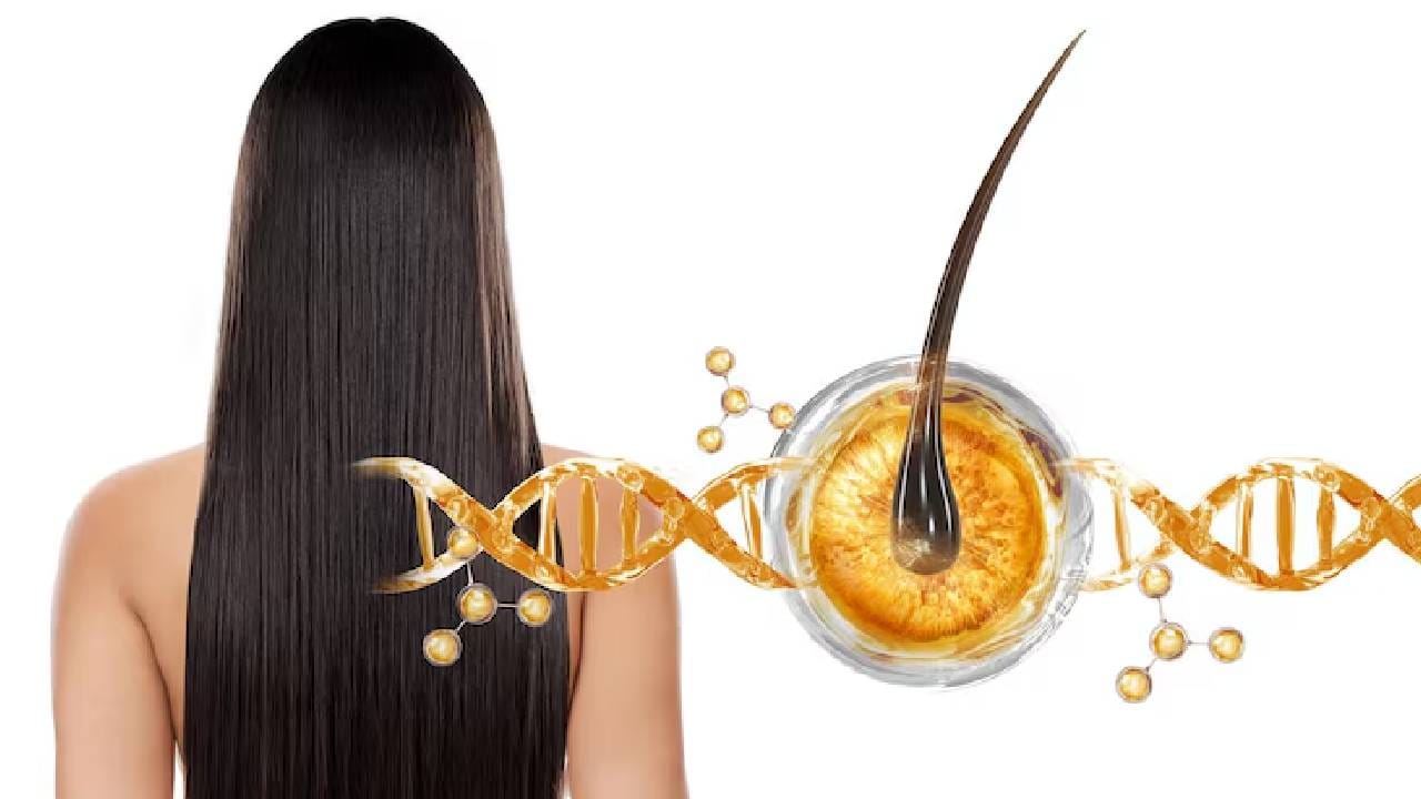 शरीरात जीवनसत्त्वांच्या कमतरतेमुळे केसांची वाढ थांबते, ते टाळण्यासाठी आहारात 'या' पदार्थांचा करा समावेश शरीरात जीवनसत्त्वांच्या कमतरतेमुळे केसांची वाढ थांबते, ते टाळण्यासाठी आहारात 'या' पदार्थांचा करा समावेश