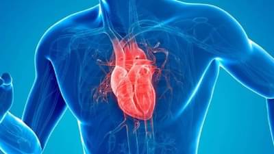 हार्ट ॲटॅकचा धोका टाळायचा असेल, तर आजपासूनच हे पदार्थ खाण्यास सुरुवात करा