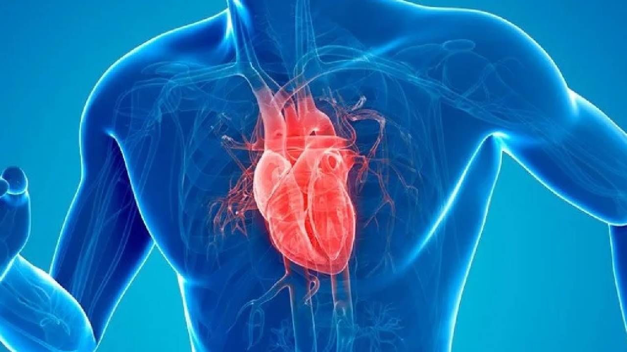 हार्ट ॲटॅकचा धोका टाळायचा असेल, तर आजपासूनच हे पदार्थ खाण्यास सुरुवात करा