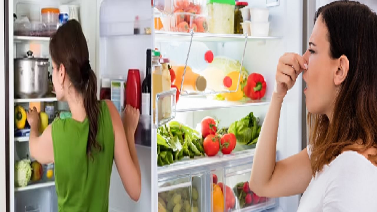 तुमचा फ्रीज ठरू शकतो आजाराचं कारण, फ्रीजमध्ये ठेवलेले अन्न सेवन करण्याचे दुष्परिणाम माहीत आहेत का ?