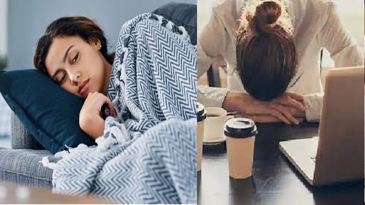 महिलांचा सर्वात मोठा शत्रू म्हणजे 'हा' आजार; सतत झोपून राहावसं वाटतं, ही लक्षणे तुम्हाला पण जाणवतात का? महिलांचा सर्वात मोठा शत्रू म्हणजे 'हा' आजार; सतत झोपून राहावसं वाटतं, ही लक्षणे तुम्हाला पण जाणवतात का?