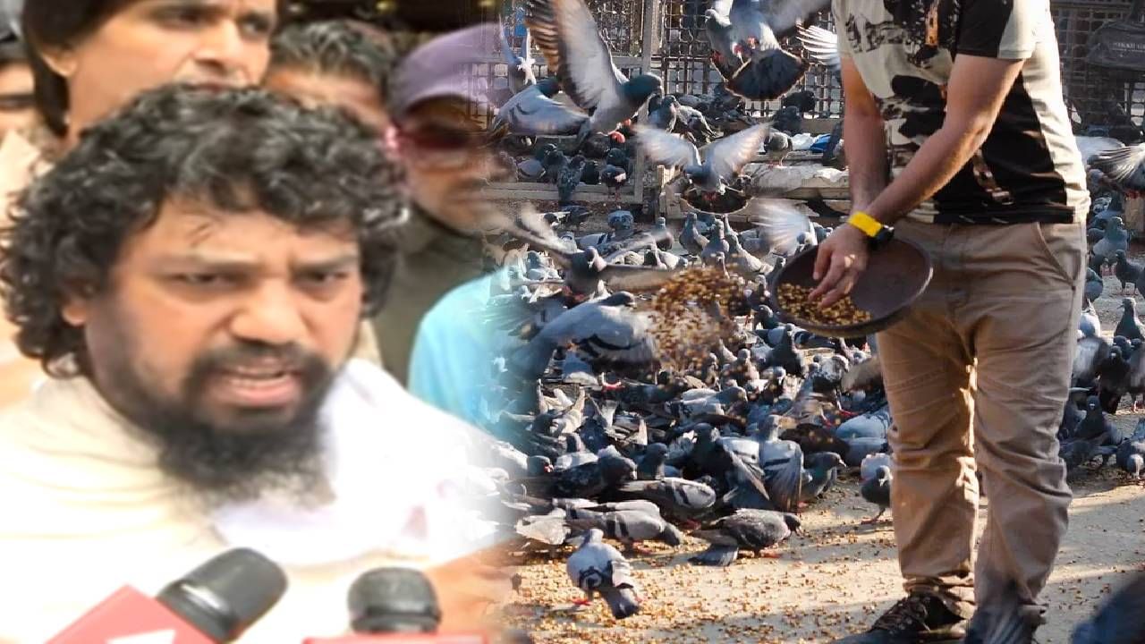 कबुतरं मरता कामा नयेत, गरज पडल्यास हातात शस्त्र घेऊ...; जैन मुनींची थेट धमकी! वातावरण तापणार?