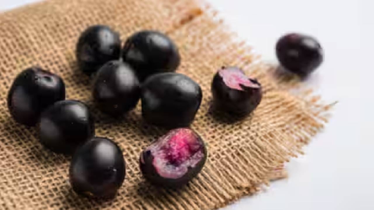 जांभळाच्या बिया फेकून देऊ नका! मधुमेहासह अनेक रोगांवर आहेत गुणकारी, असा करा वापर जांभळाच्या बिया फेकून देऊ नका! मधुमेहासह अनेक रोगांवर आहेत गुणकारी, असा करा वापर