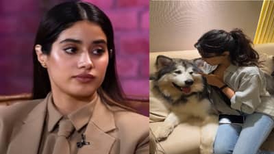 ही सरळ सरळ गुन्हेगारी....30 लाख कुत्रे मारण्याच्या निर्णयावर अभिनेत्री जान्हवी कपूर संतापली