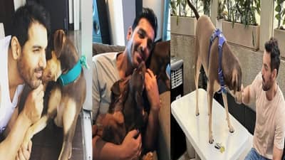 कुत्रे पृथ्वीवरील देव...; अभिनेता जॉन अब्राहमचे थेट सरन्यायाधीशांना भावनिक पत्र