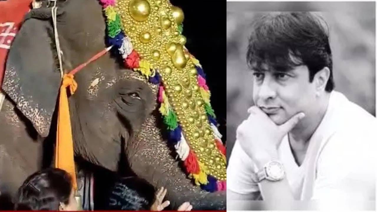 पैशापुढं सरकारपासून न्यायव्यवस्थेपर्यंत सगळे झुकले; महादेवी हत्तीणीला ‘वनतारा’त पाठवल्यावर किरण मानेचा मोठा गौप्यस्फोट