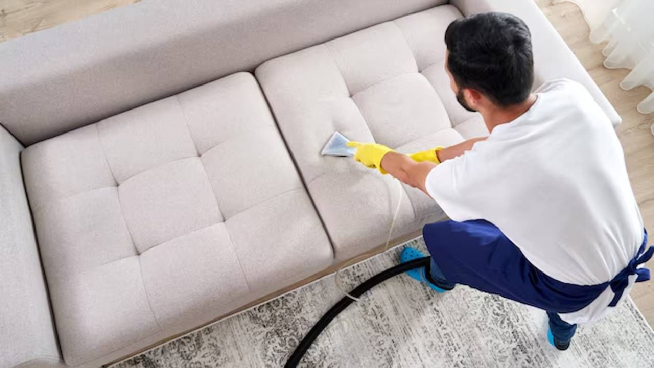 लेदरचे सोफे साफ करताना अडचण येतेय? जाणून घ्या ही सोपी पद्धत लेदरचे सोफे साफ करताना अडचण येतेय? जाणून घ्या ही सोपी पद्धत