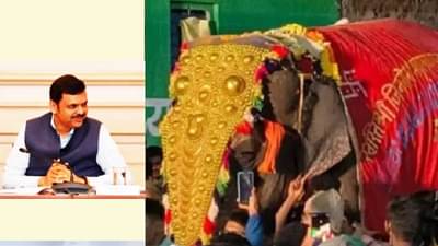 Mahadevi : महादेवी हत्तीणींसंदर्भात मुख्यमंत्र्यांच्या बैठकीत मोठा निर्णय; कोल्हापुरांना लवकरच आनंदवार्ता? सर्वात मोठी अपडेट वाचली का?