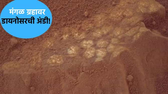 डायनासोरच्या अंड्यासारखं... , नासाच्या रोव्हरने मंगळ ग्रहावर शोधल्या सजीव असल्याच्या पाऊलखुणा!
