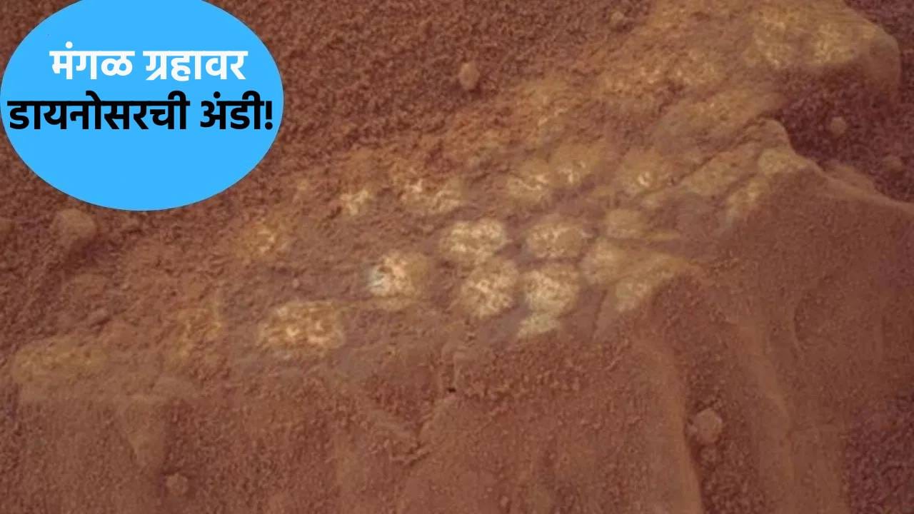 'डायनासोरच्या अंड्यासारखं... ', नासाच्या रोव्हरने मंगळ ग्रहावर शोधल्या सजीव असल्याच्या पाऊलखुणा!