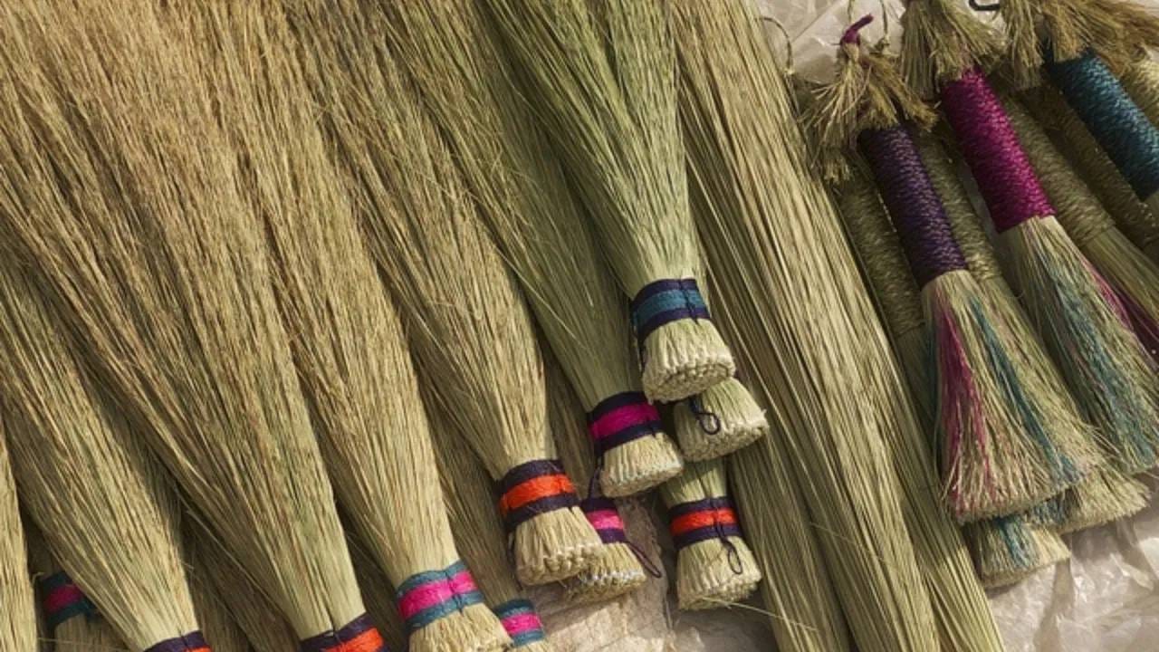 सोमवारी झाडू खरेदी करू नये, अशीही ज्योतिषीय मान्यता आहे. वास्तुशास्त्रानुसार, सोमवारी झाडू खरेदी केल्याने आर्थिक अडचणींचा सामना करावा लागू शकतो.