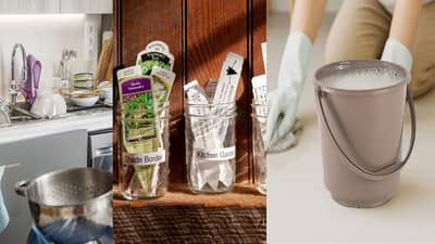 घरात या 3 वस्तू चुकूनही रिकाम्या ठेवू नये; अन्यथा आयुष्यभर होईल पश्चात्ताप