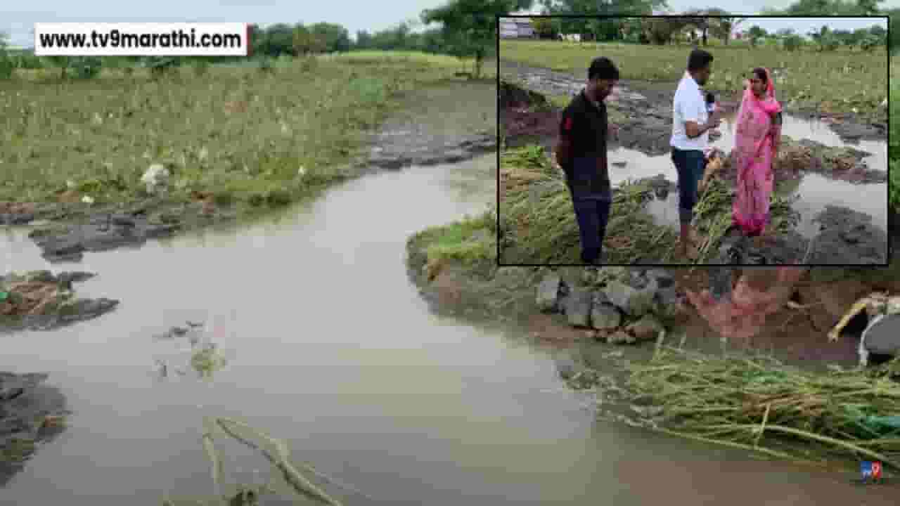 Solapur Crop Loss : पोटाला चिमटे अन् शेतीवर खर्च... मुसळधार पाऊस, बांध फुटला.. सगळं होत्याचं नव्हतं; महिला शेतकरी हतबल Solapur Crop Loss : पोटाला चिमटे अन् शेतीवर खर्च... मुसळधार पाऊस, बांध फुटला.. सगळं होत्याचं नव्हतं; महिला शेतकरी हतबल