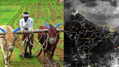 शेतकऱ्यांसाठी मोठी दिलासादायक बातमी, भारतीय हवामान विभागाकडून अंदाज, आज या भागात मुसळधार पाऊस