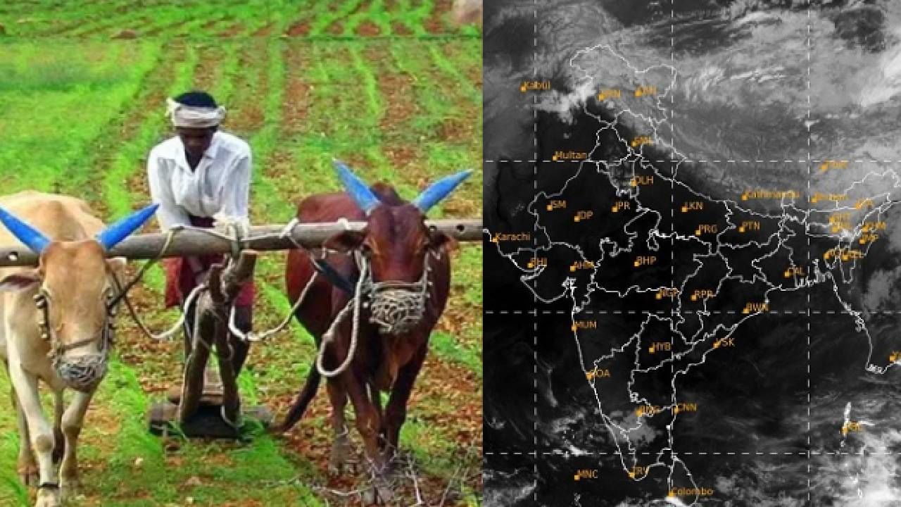 शेतकऱ्यांसाठी मोठी दिलासादायक बातमी, भारतीय हवामान विभागाकडून अंदाज, आज 'या' भागात मुसळधार पाऊस