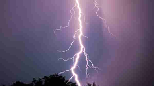 IMD Rain Update : पुढील 24 तास धोक्याचे, या जिल्ह्यांना हायअलर्ट, आयएमडीचा महाराष्ट्रासाठी मोठा इशारा
