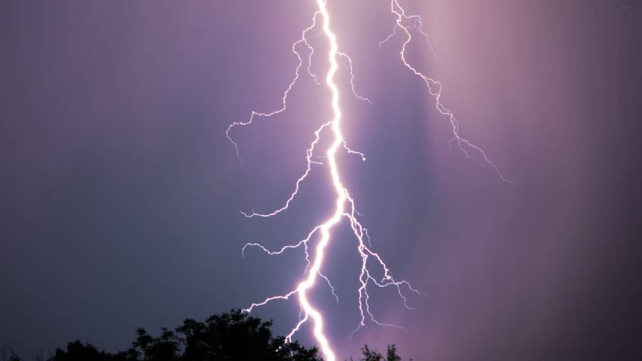 IMD Rain Update : पुढील 24 तास धोक्याचे, या जिल्ह्यांना हायअलर्ट, आयएमडीचा महाराष्ट्रासाठी मोठा इशारा