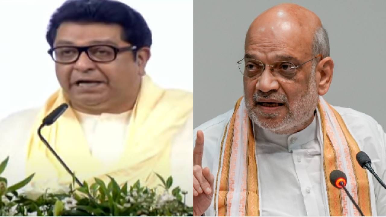 देशाचे गृहमंत्री ठणकावून सांगतात, मी हिंदी भाषिक नाही, गुजराती आहे, मग आम्ही...राज ठाकरेंची जोरदार टीका