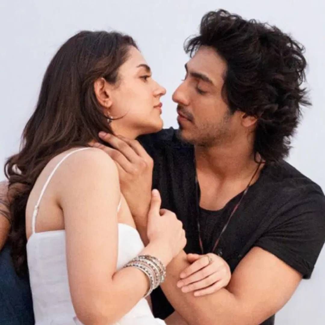 अनीतने लिहिलय की, "जर हे तुम्हाला हसवतं, रडवतं, किंवा अशा कुठल्या गोष्टीची आठवण करुन देतं, जे तुम्ही विसरलायत, जर हे तुमच्या एकटेपणाची जाणीव कमी करतं, तर कदाचित मीच आहे" 