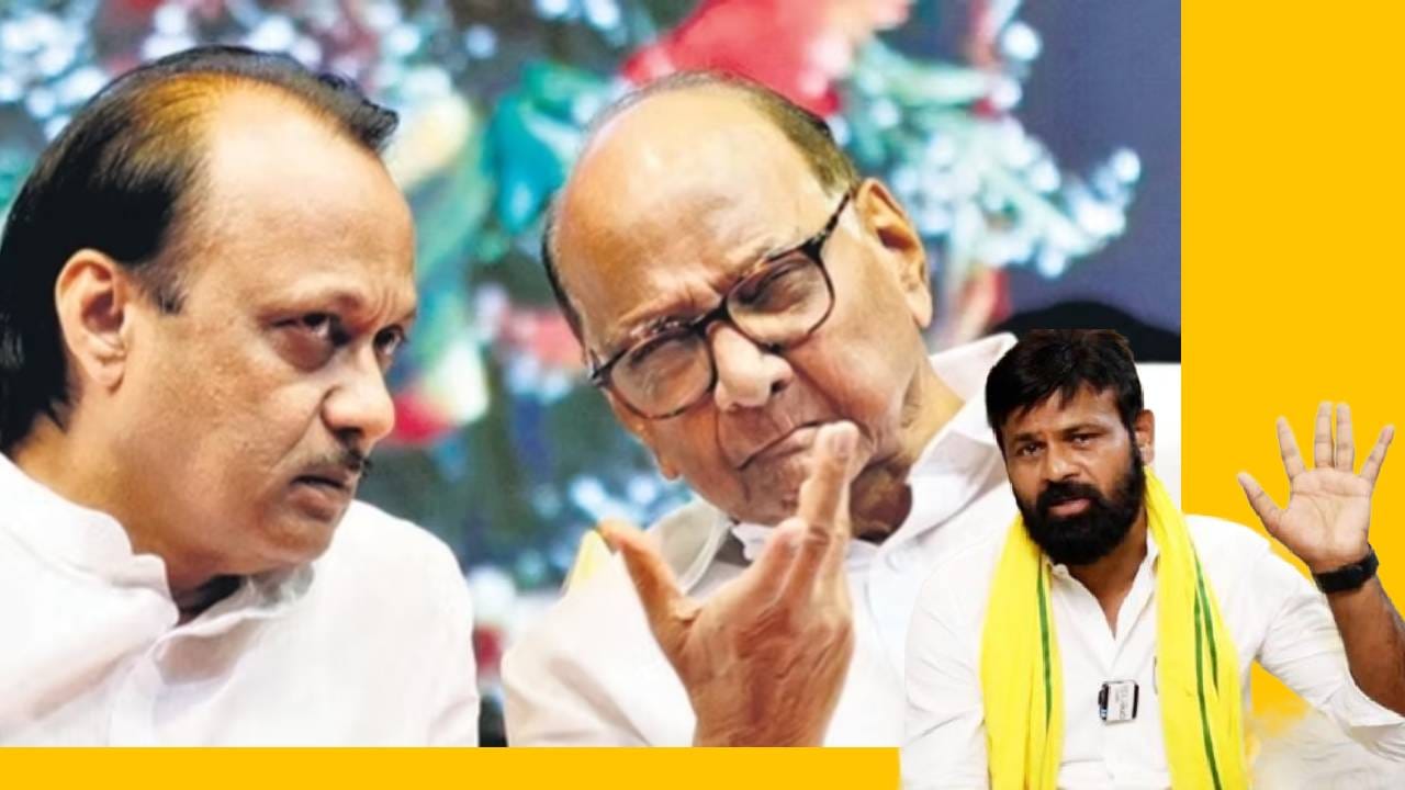 Sharad Pawar : शरद पवारांनी ओबीसींचं आरक्षण बुडवलं, लक्ष्मण हाकेंचा हल्लाबोल सुरूच, अजितदादांविरोधात पुन्हा उघडला मोर्चा