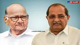 शरद पवारांनी मतपेट्या फिरवल्या, विखे पाटलांच्या गंभीर आरोपाने खळबळ शरद पवारांनी मतपेट्या फिरवल्या, विखे पाटलांच्या गंभीर आरोपाने खळबळ