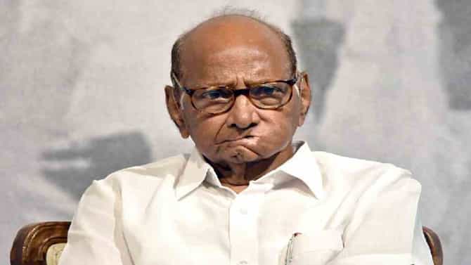 शरद पवारांचा प्रमुख शिलेदार शिवसेनेच्या वाटेवर? नेत्याच्या वक्तव्यानं चर्चेला उधाण