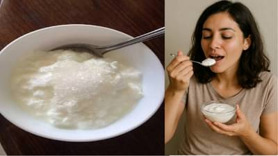 दह्यात मीठ घालावं की साखर? काय फायदेशीर?  90 % लोकांना माहित नसेल