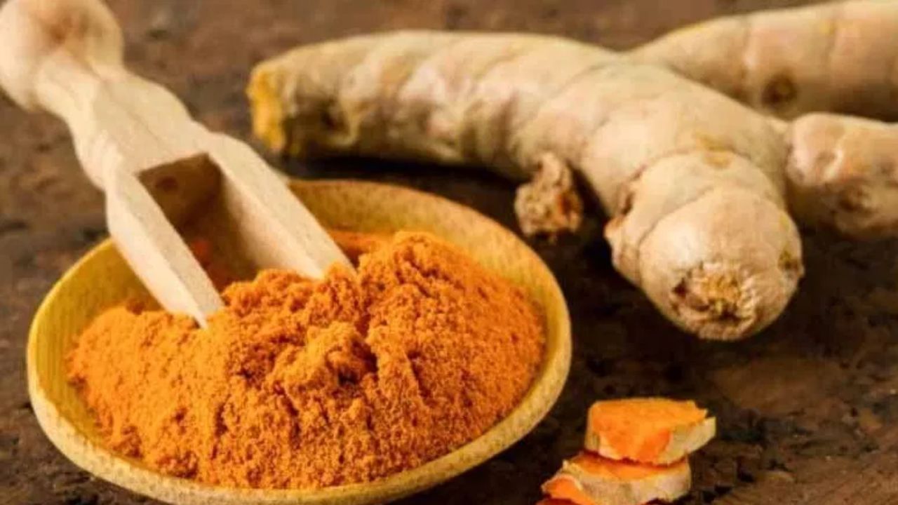 कस्तुरी हळद की साधी हळद? त्वचेसाठी कोणती हळद आहे बेस्ट, जाणून घ्या