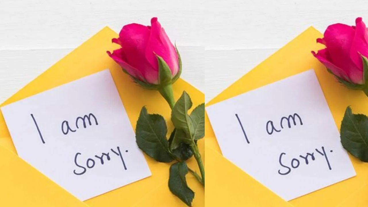 माफी मागण्याची योग्य पद्धत तुम्हाला माहीत आहे का? नसेल तर जाणून घ्या माफी मागण्याची योग्य पद्धत तुम्हाला माहीत आहे का? नसेल तर जाणून घ्या