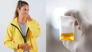 नारळ पाणी पिणं कोणी टाळावे? नारळ पाणी पिण्यापूर्वी काय तपासणे गरजेचे? जाणून घ्या