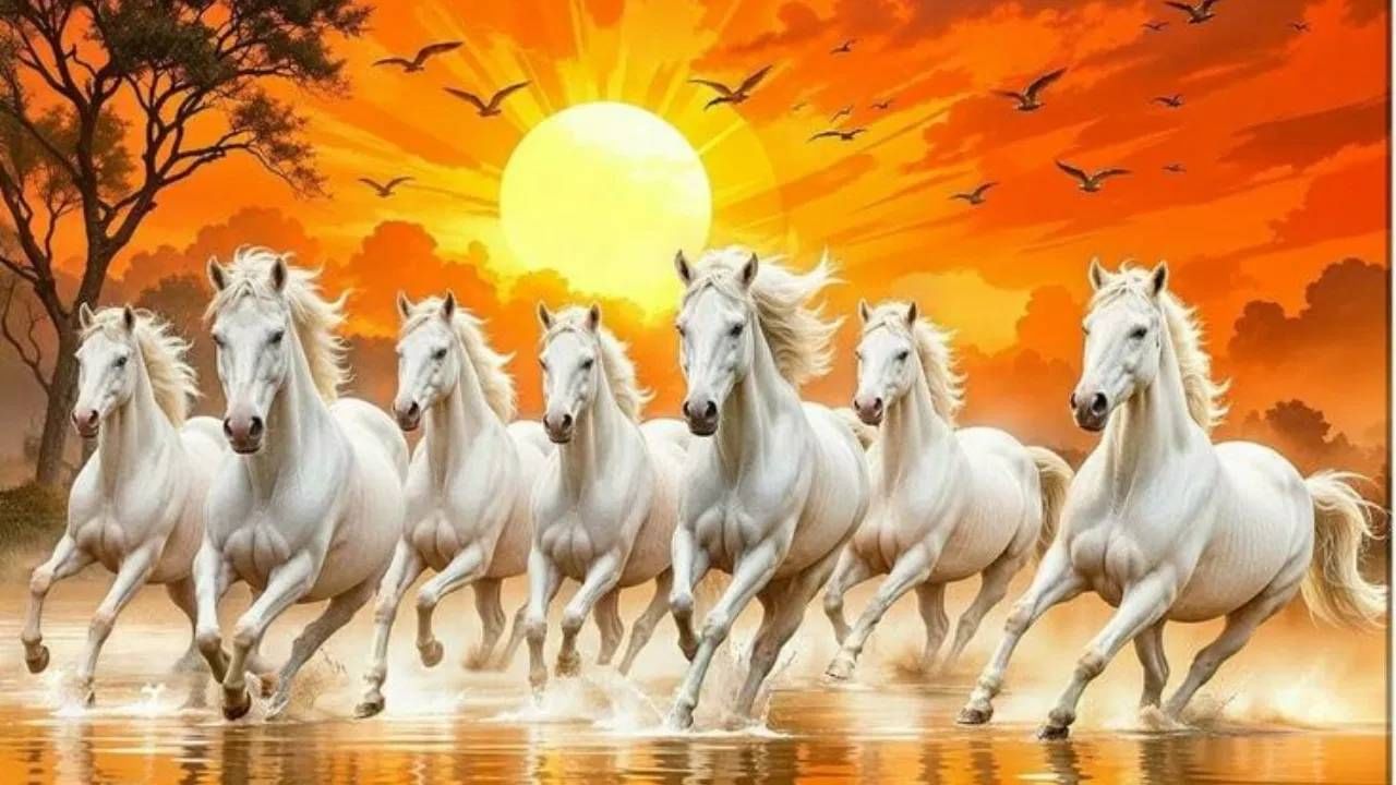 फोटो घरातील कोणत्या दिशेला लावला आहे यावरून लाभ ठरतो. दक्षिण दिशेला लावल्यास प्रसिद्धी आणि यश मिळते. उत्तर दिशेला लावल्यास धन आणि समृद्धी येते. पूर्व दिशेला लावल्यास करिअरमध्ये प्रगती होते. 