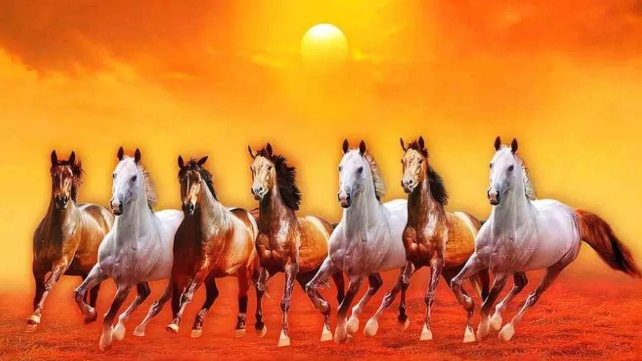 घरात सात घोडे धावत असलेला फोटो लावणं वास्तु आणि ज्योतिषशास्त्रानुसार शुभ मानलं जातं. हा फोटो सकारात्मक ऊर्जा, सुख समृद्धी आणि यशासाठी लाभदायी मानला जातो. 